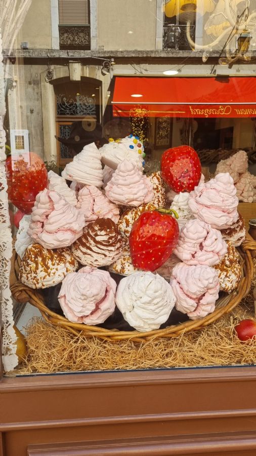 שאמוני והאלפים הצרפתיים